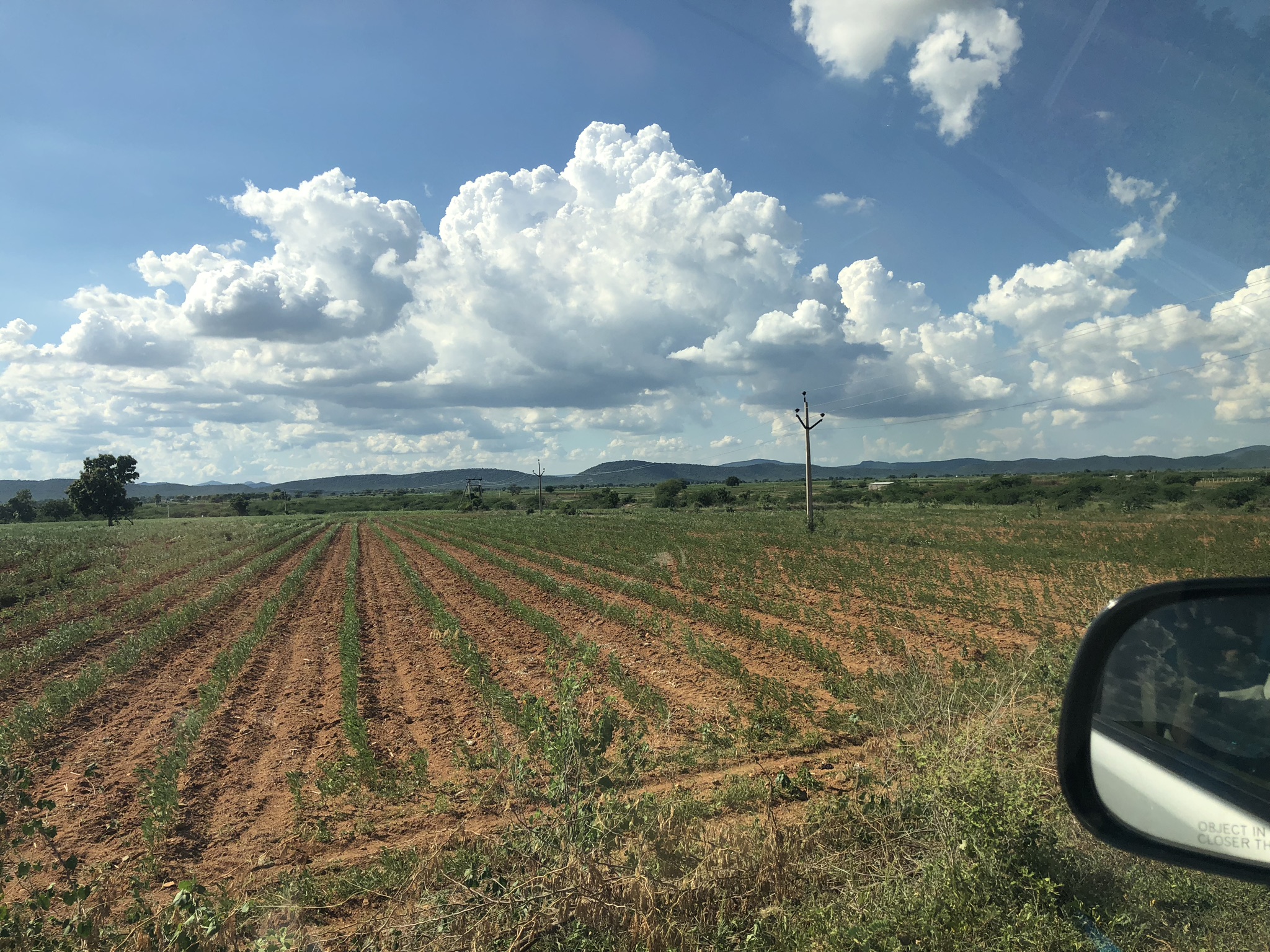 45 Acres of Agricultural Land Available for Sale