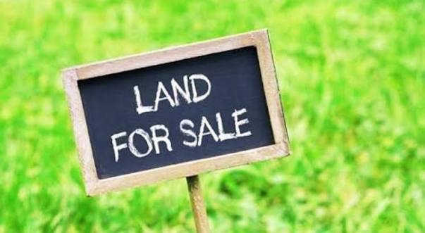 2 Acers land For sale Near Vijayawada -